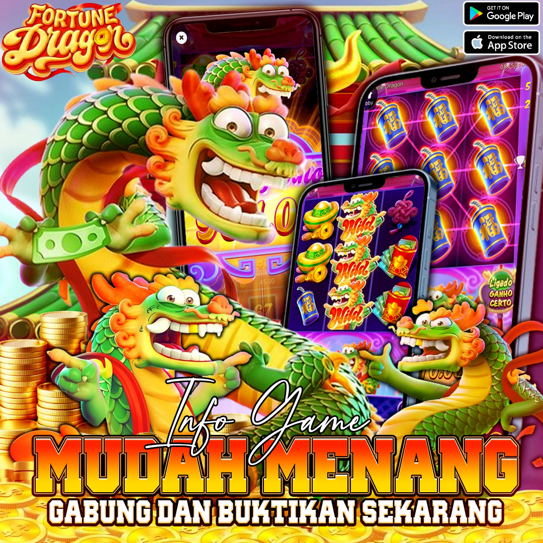 DRAGON12
